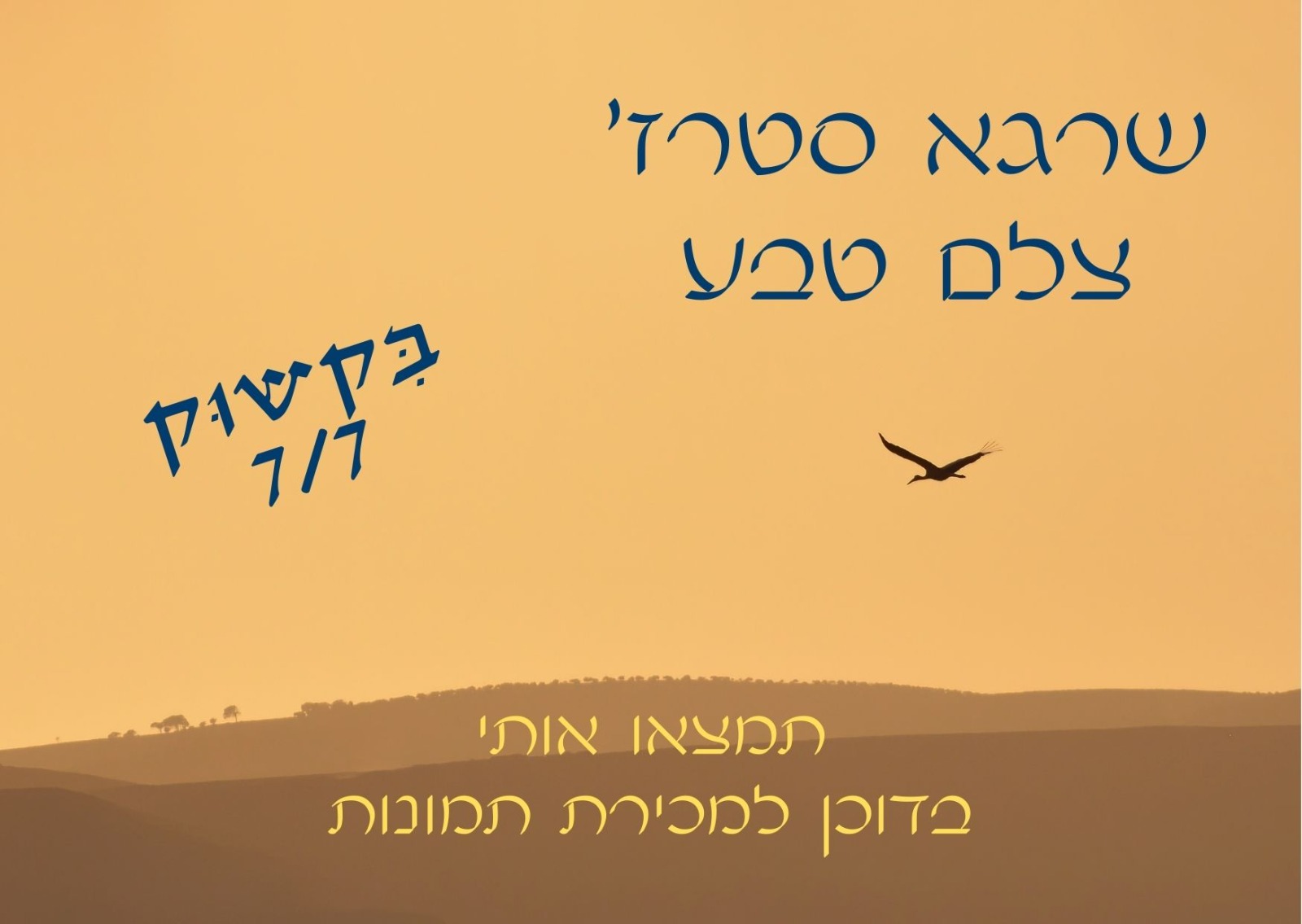 שרגא סטרז'