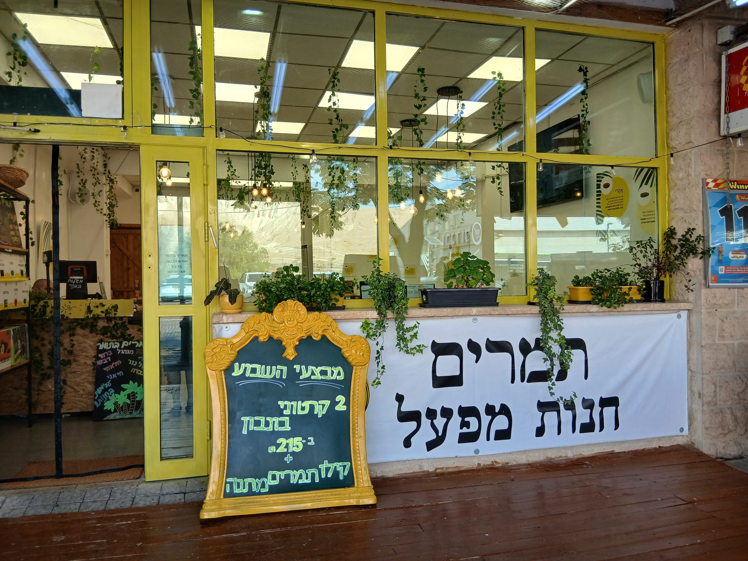 תמרים בתומר
